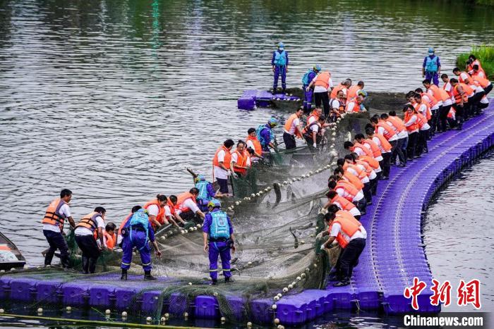 捕撈現(xiàn)場。　主辦方供圖