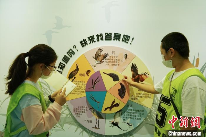 圖為小朋友在青海西寧湟水國家濕地公園科普館內(nèi)參觀學(xué)習(xí)?！●R銘言 攝