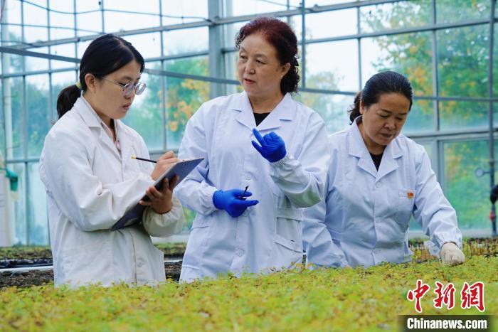 圖為張錦梅(中)與同事在討論數(shù)據(jù)。馬銘言 攝