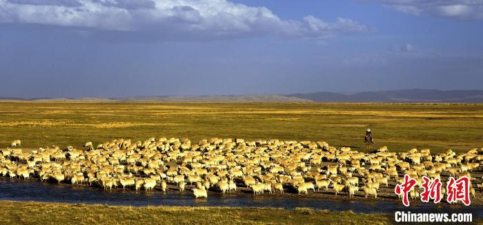 青?，敹唷鞍渍渲椤弊尠傩斟X袋鼓起來