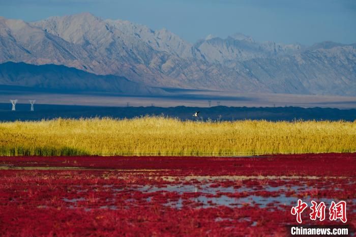 圖為柴達木盆地可魯克湖?！」?攝