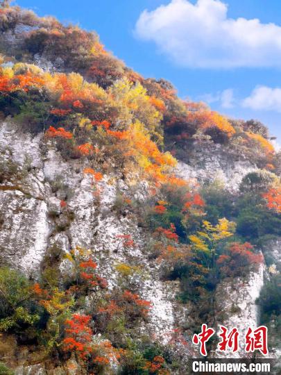 彩林色彩斑斕?！≈炱桨?攝