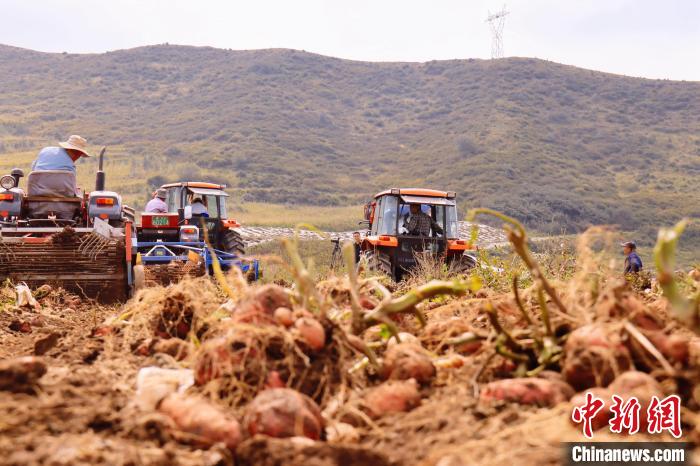 青海東部農(nóng)業(yè)區(qū)：“一分川、一分水、八分山”里“刨金記”