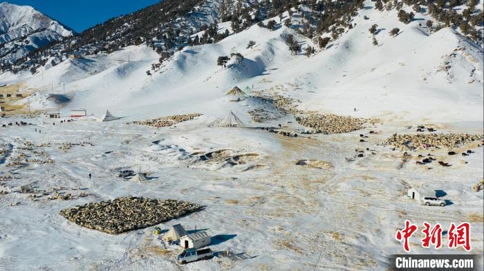 圖為無(wú)人機(jī)航拍牧場(chǎng)?！《继m縣融媒體中心供圖