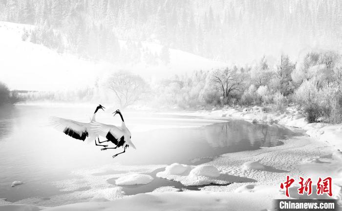 圖為焦生福的作品《鶴嬉雪林》?！∏嗪Ｊ∑钸B山自然保護(hù)協(xié)會供圖