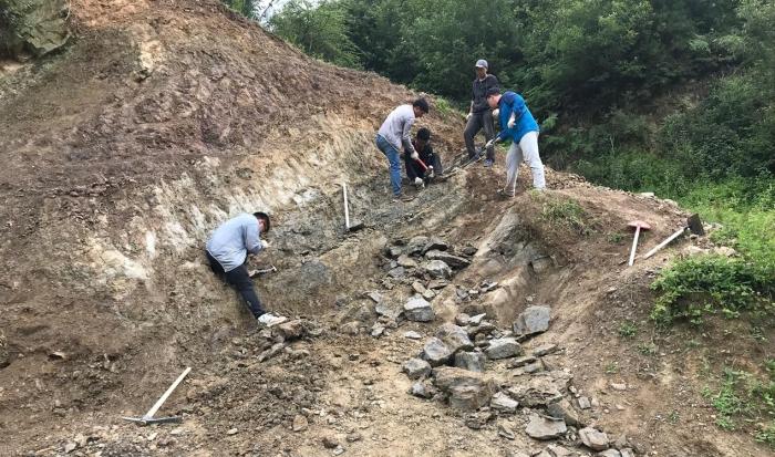 2018年玉海翼角魚野外發(fā)掘采集現場。　蓋志琨 攝