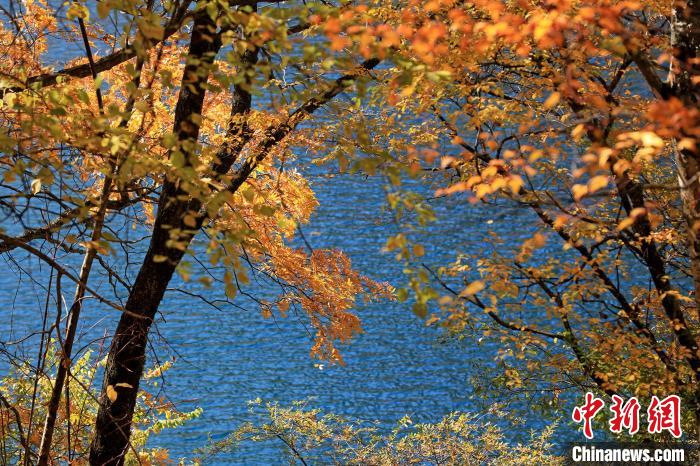 松坪溝風(fēng)光?！⑼?攝