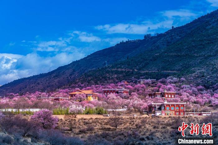 美麗的鄉(xiāng)村畫(huà)卷。　何行銘 攝