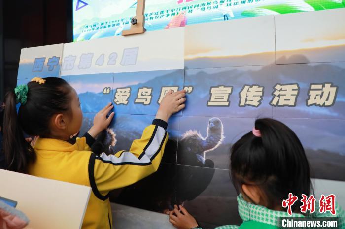 圖為學(xué)生通過拼圖游戲了解鳥類知識?！●R銘言 攝