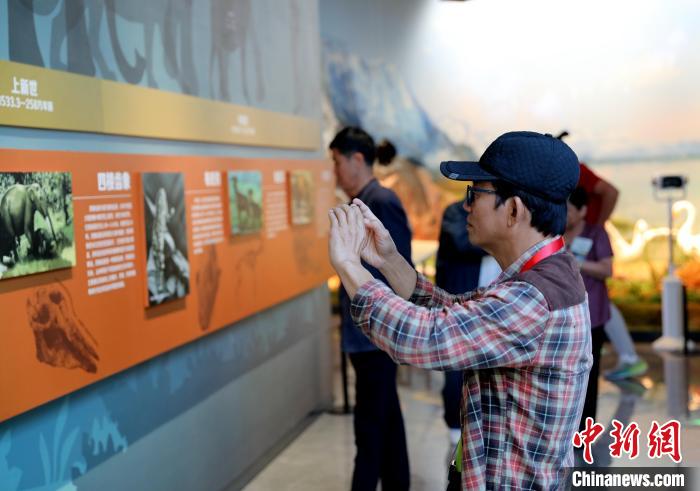 圖為臺(tái)商在祁連山國家公園生態(tài)科普館觀看墻面藝術(shù)圖文?！⊙Φ?攝
