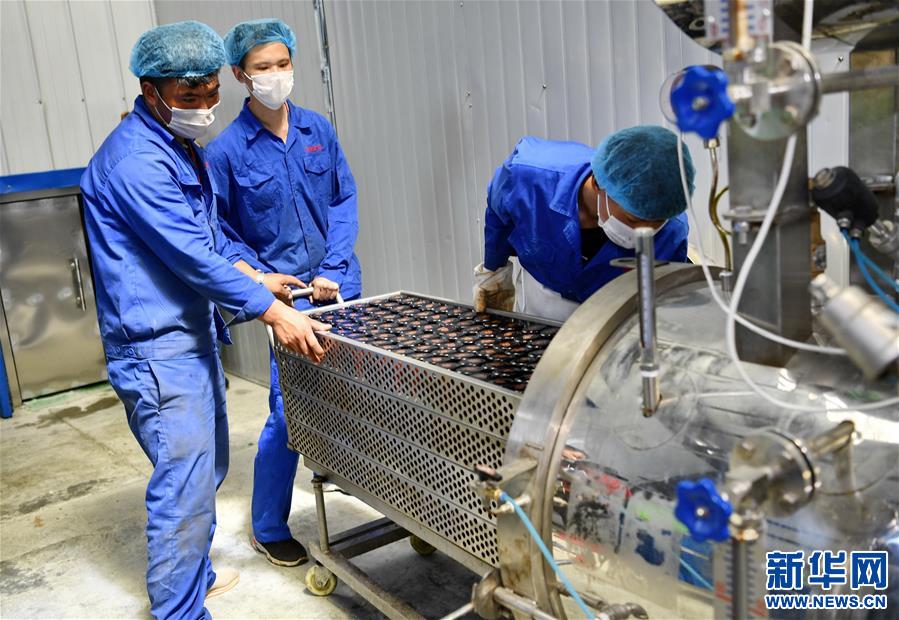 (走向我們的小康生活)(5)西藏朗縣:發(fā)展辣椒產(chǎn)業(yè) 助力脫貧攻堅(jiān)