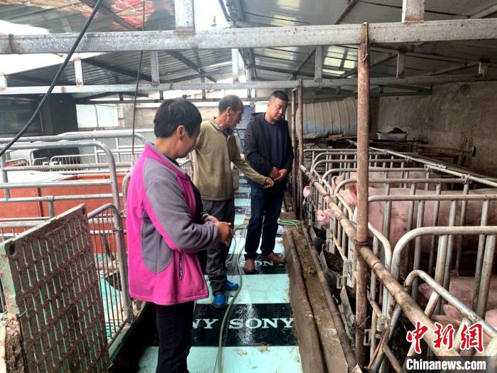 “貧困戶”到“小老板”:青海山區(qū)村民的致富路