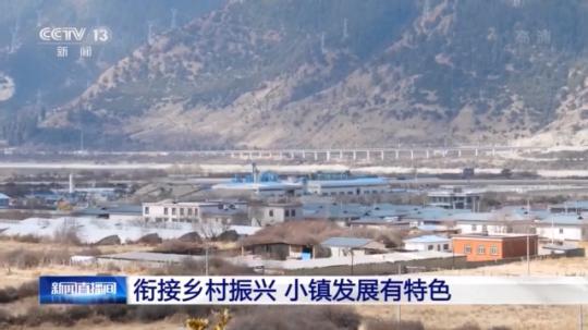 種蘑菇、養(yǎng)駱駝...。。特色產(chǎn)業(yè)助力鄉(xiāng)村振興走新路