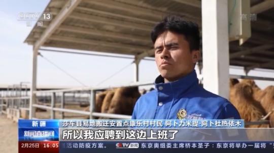 種蘑菇、養(yǎng)駱駝...。。特色產(chǎn)業(yè)助力鄉(xiāng)村振興走新路