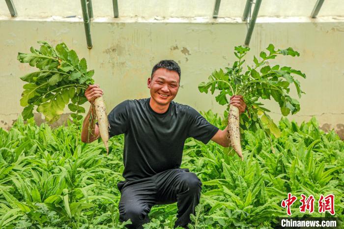 西藏阿里門(mén)士邊境派出所民警兼職大棚種植、豐富牧民餐桌