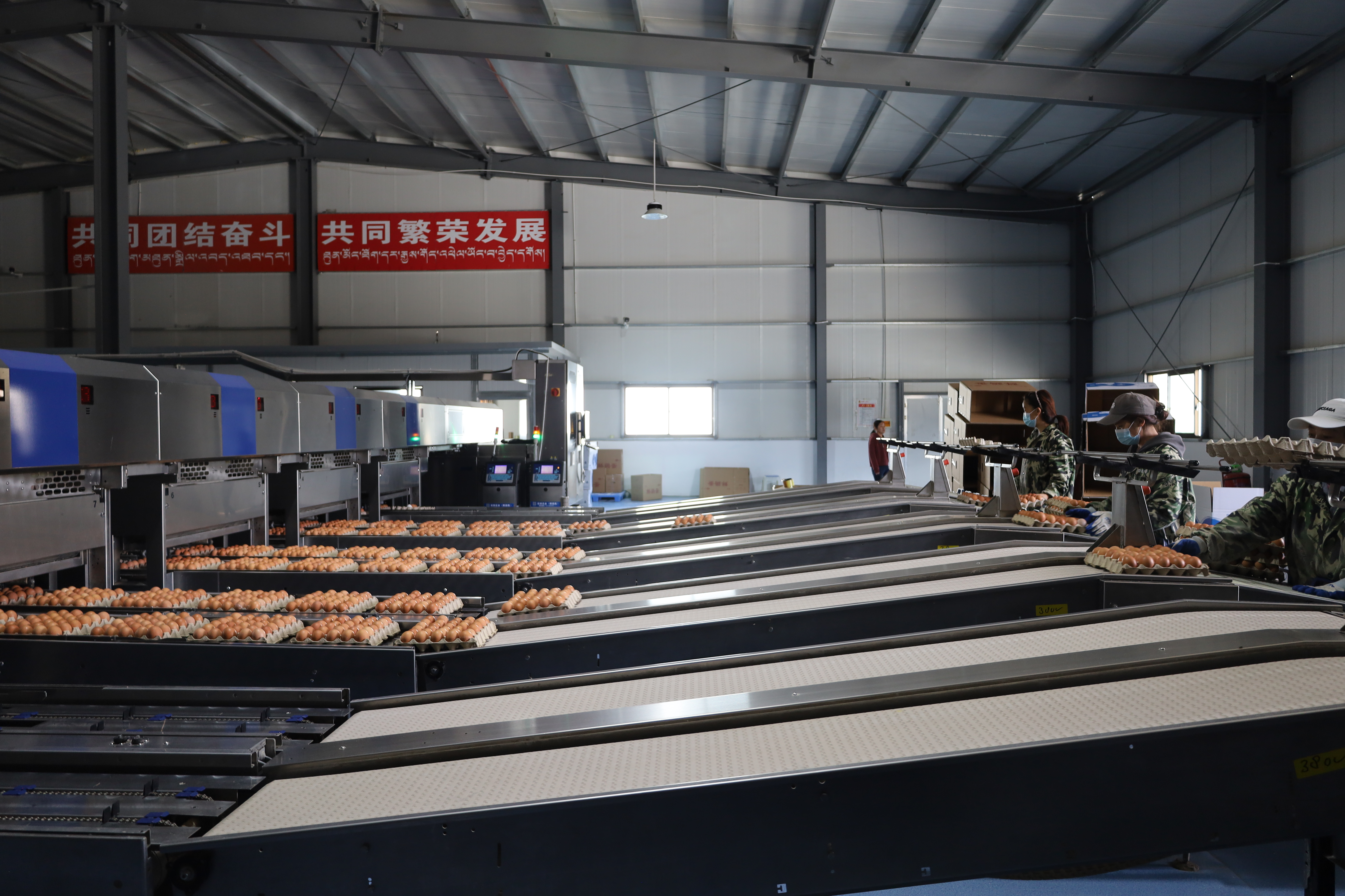 IMG_8772.jpg IMG_8772.jpg