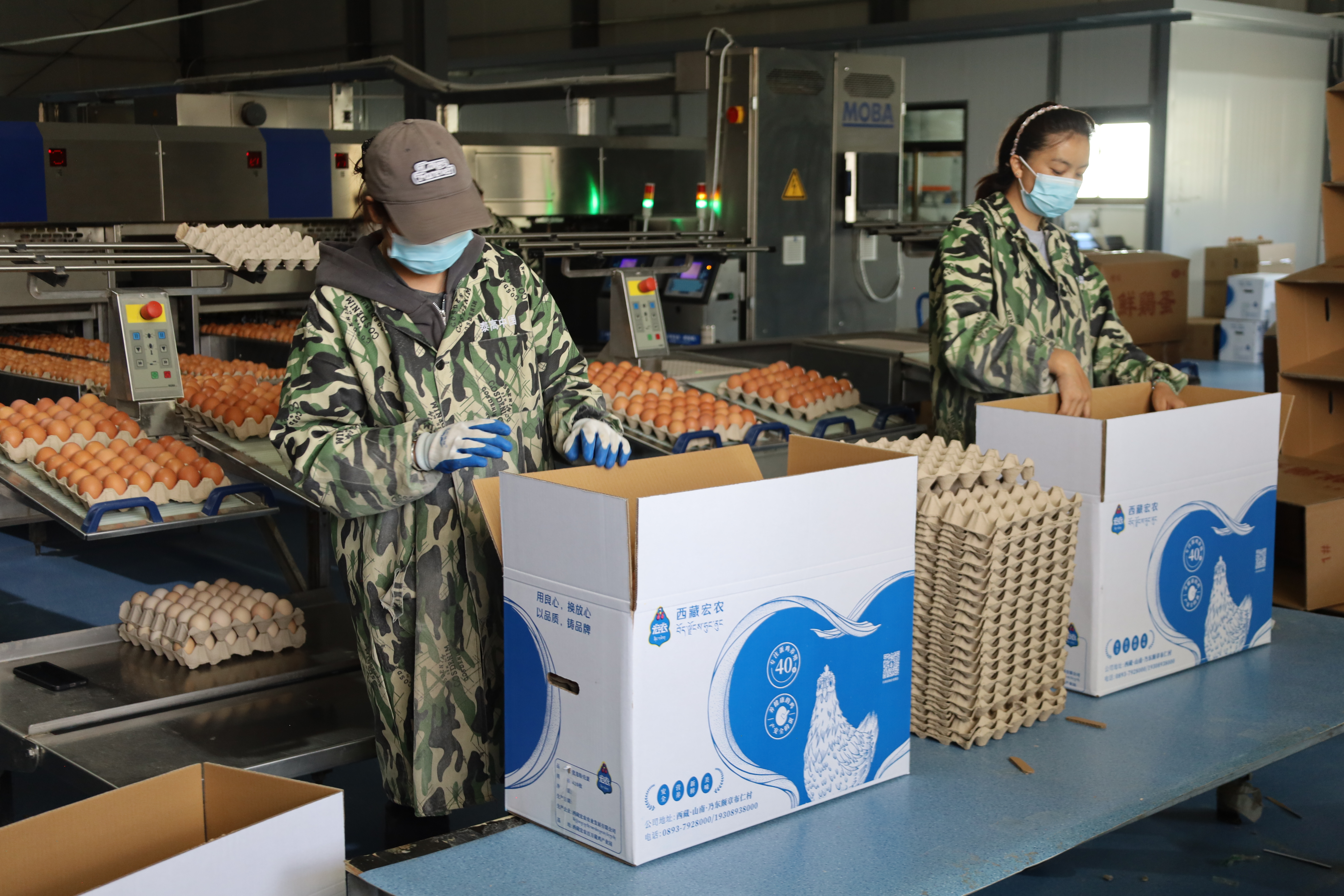 IMG_8791.jpg IMG_8791.jpg