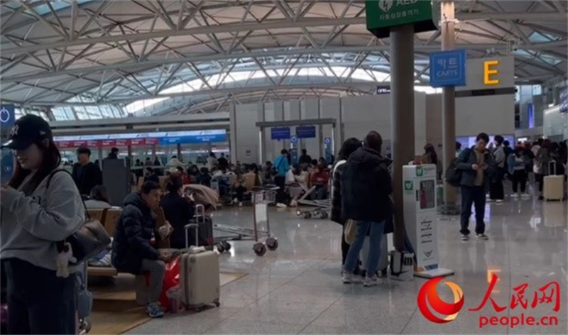 11月29日，繁忙的仁川機場。人民網 李帆攝