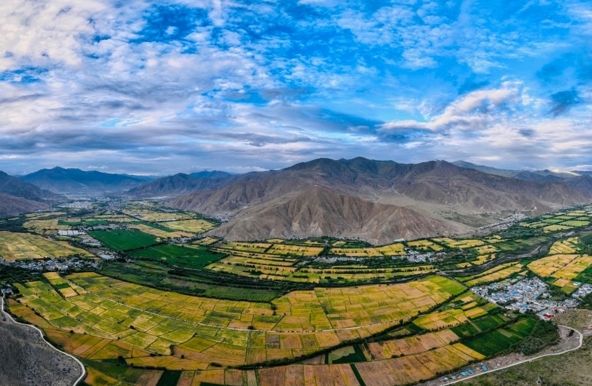 資料圖為山南雅礱河谷的農(nóng)田???（無人機(jī)照片） 中新社發(fā) 張巍 ??.jpg