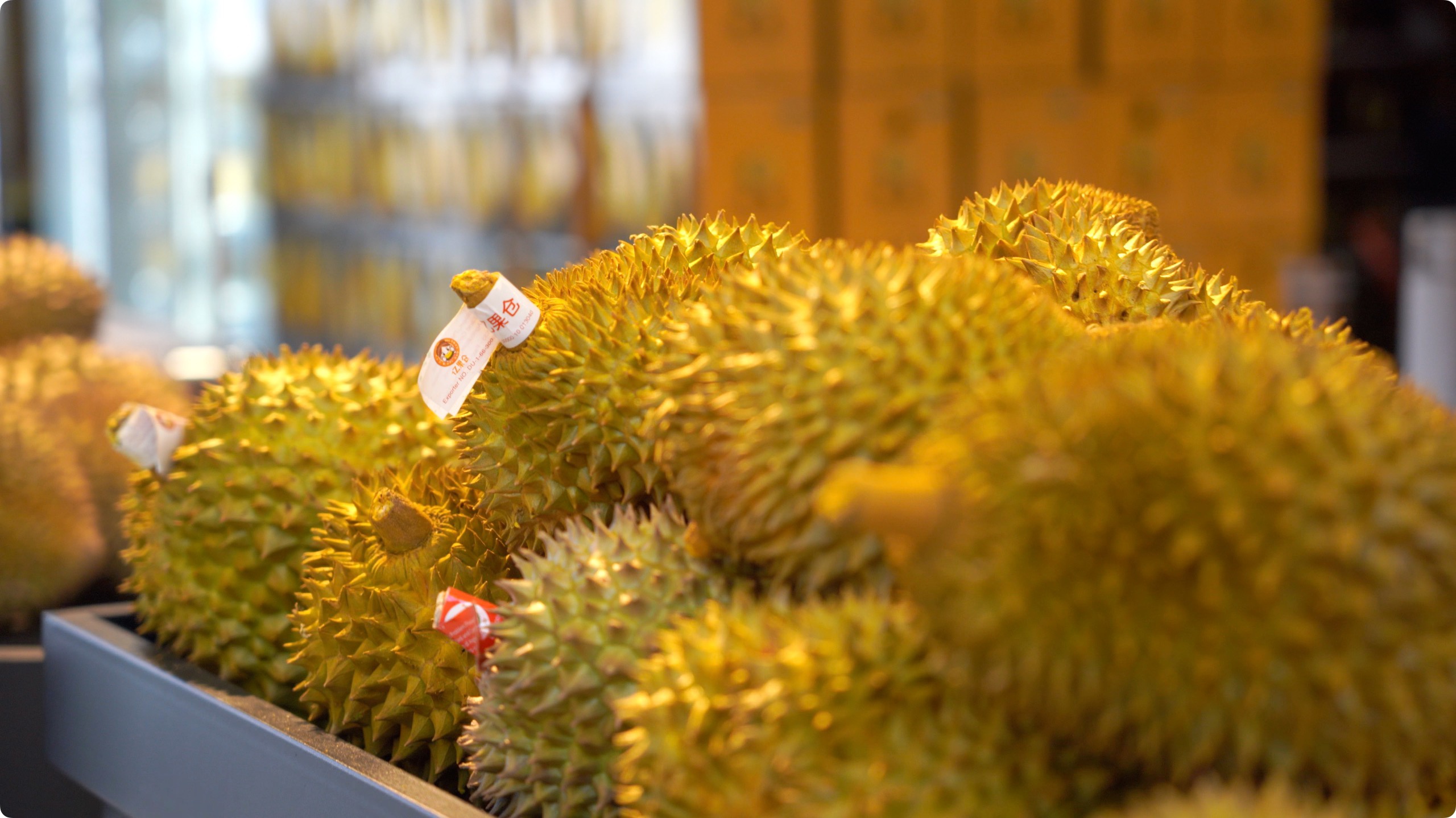 5月初，人民網(wǎng)記者申佳平攝