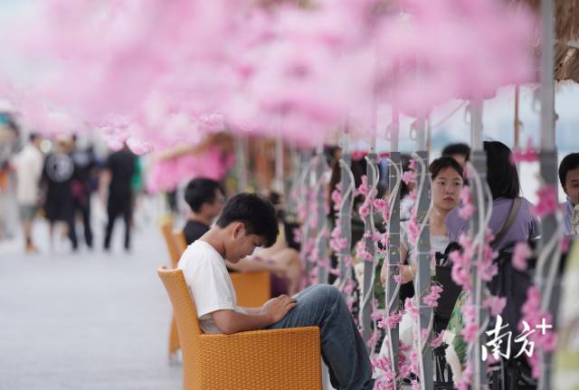 崖口村東堤靠近海岸，成為了熱門打卡休閑地點。