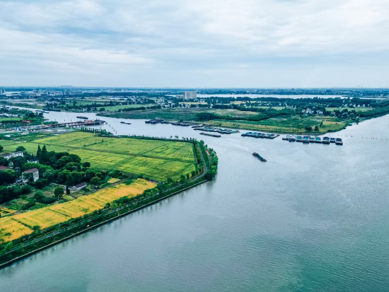 太浦河沿岸好風(fēng)光。吳橫軒攝