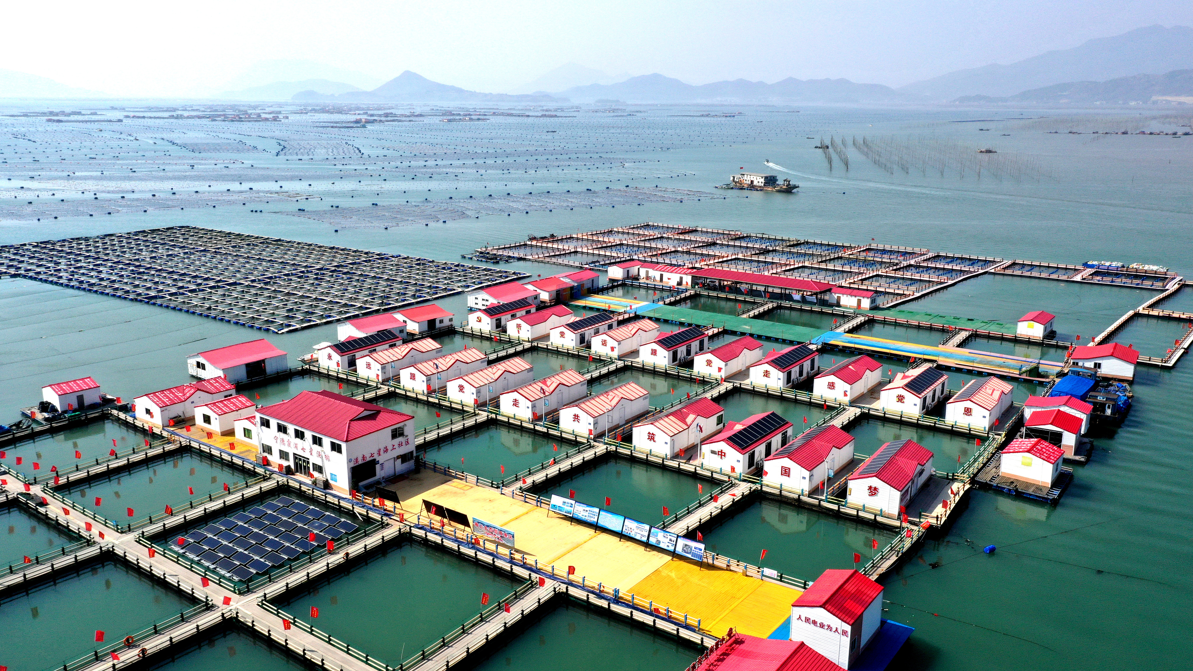 2024年3月20日，福建省寧德市，霞浦縣溪南鎮(zhèn)七星村漁排養(yǎng)殖示范區(qū)，漁民駕駛養(yǎng)殖船進行海參養(yǎng)殖作業(yè)。