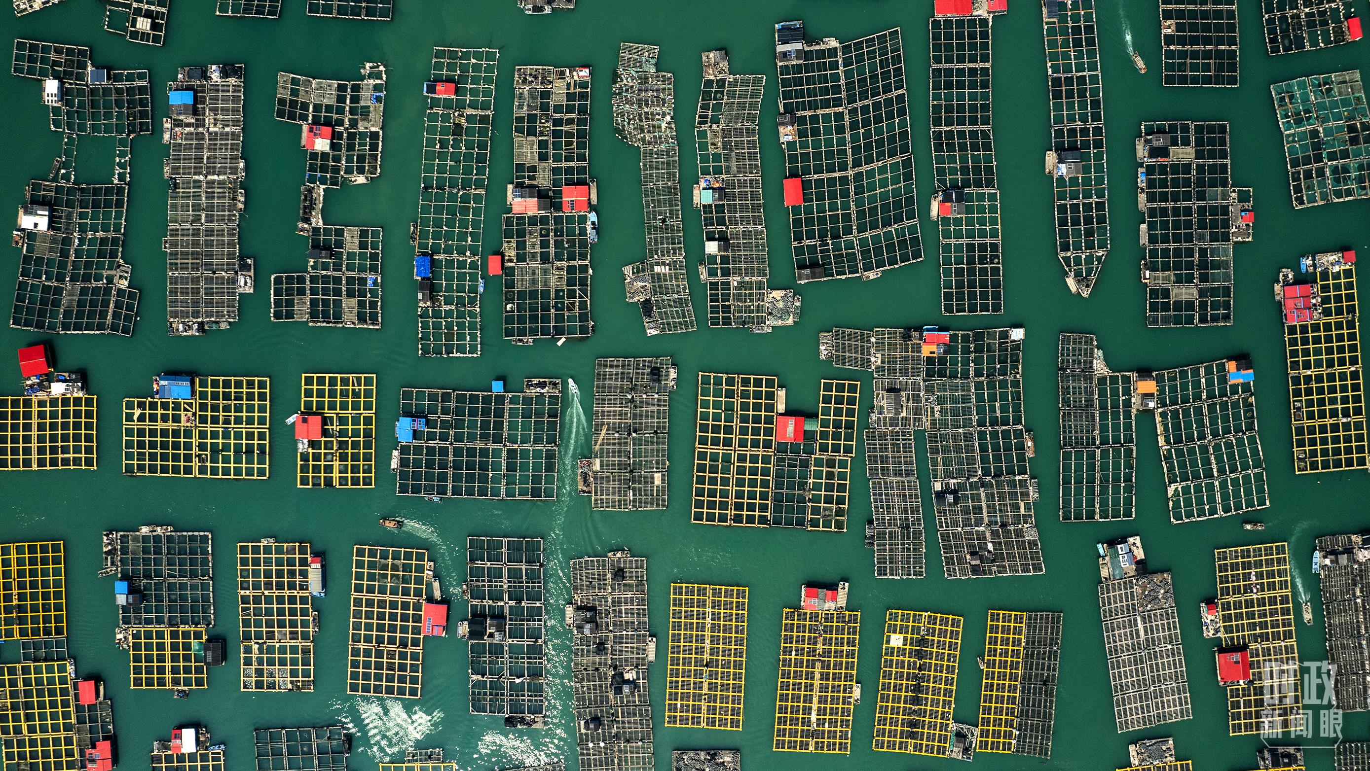 △澳角村。（總臺(tái)記者李晉拍攝）