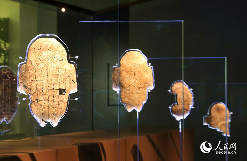 殷墟博物館展出的甲骨文。人民網(wǎng)記者 慎志遠(yuǎn) 攝