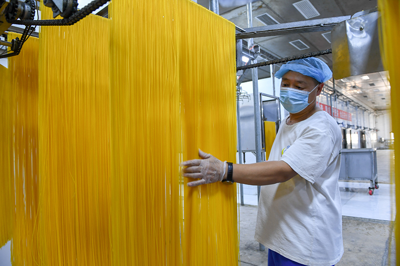 2024年1月25日，在吉林省公主嶺市的一家公司車(chē)間，工人查看玉米面條生產(chǎn)情況。