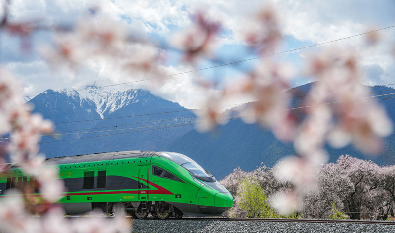 2025年4月2日，復興號列車穿行在拉林鐵路林芝段。