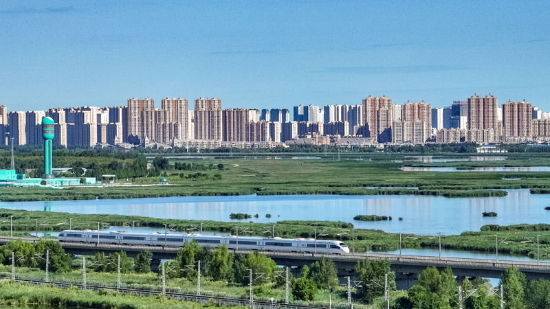 2025年8月17日，一列動車組列車駛過大慶東站。