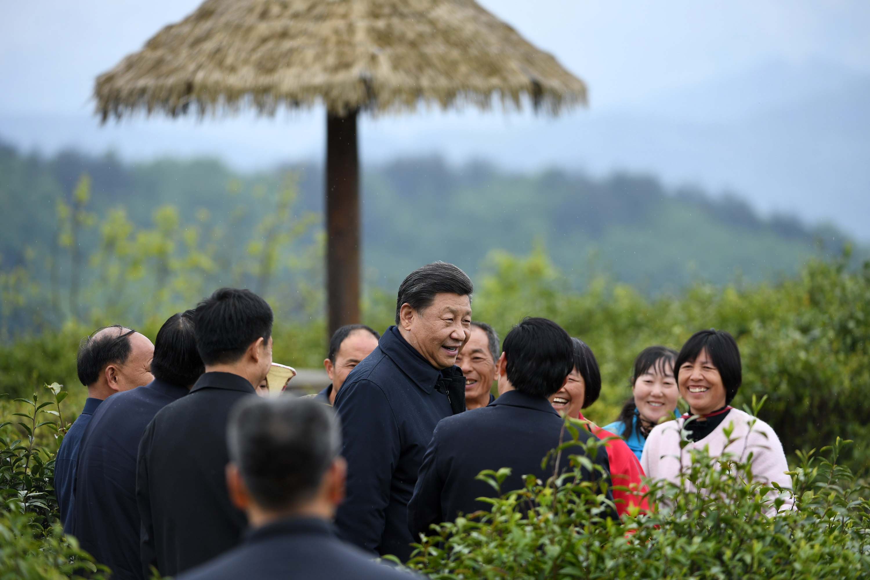 2020年4月21日，習(xí)近平在安康市平利縣老縣鎮(zhèn)蔣家坪村女媧鳳凰茶業(yè)現(xiàn)代示范園區(qū)，同茶農(nóng)們親切交談。