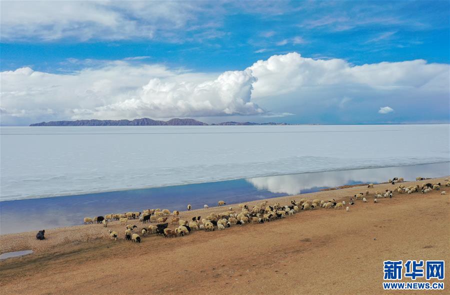 （美麗中國）（2）春暖雪域 色林錯“解凍”