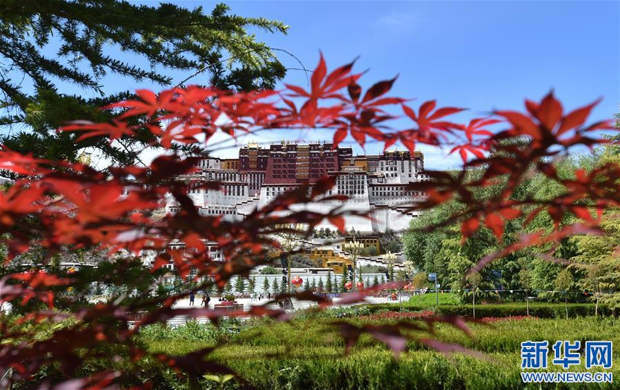 (社會(huì))(3)布達(dá)拉宮恢復(fù)對(duì)外開放