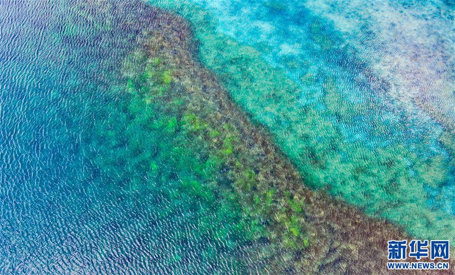 (新華視界)(4)夢幻“三色湖”