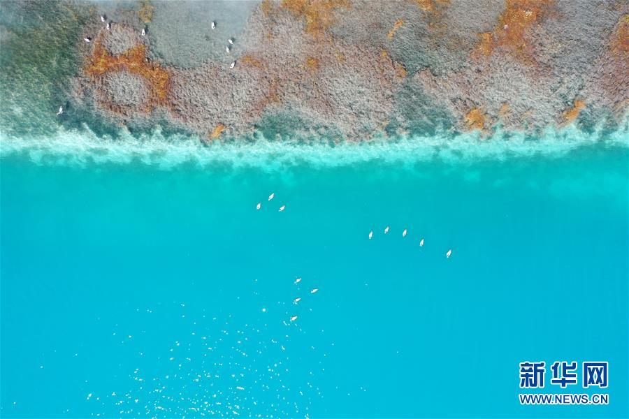 (新華視界)(5)鳥瞰羊湖