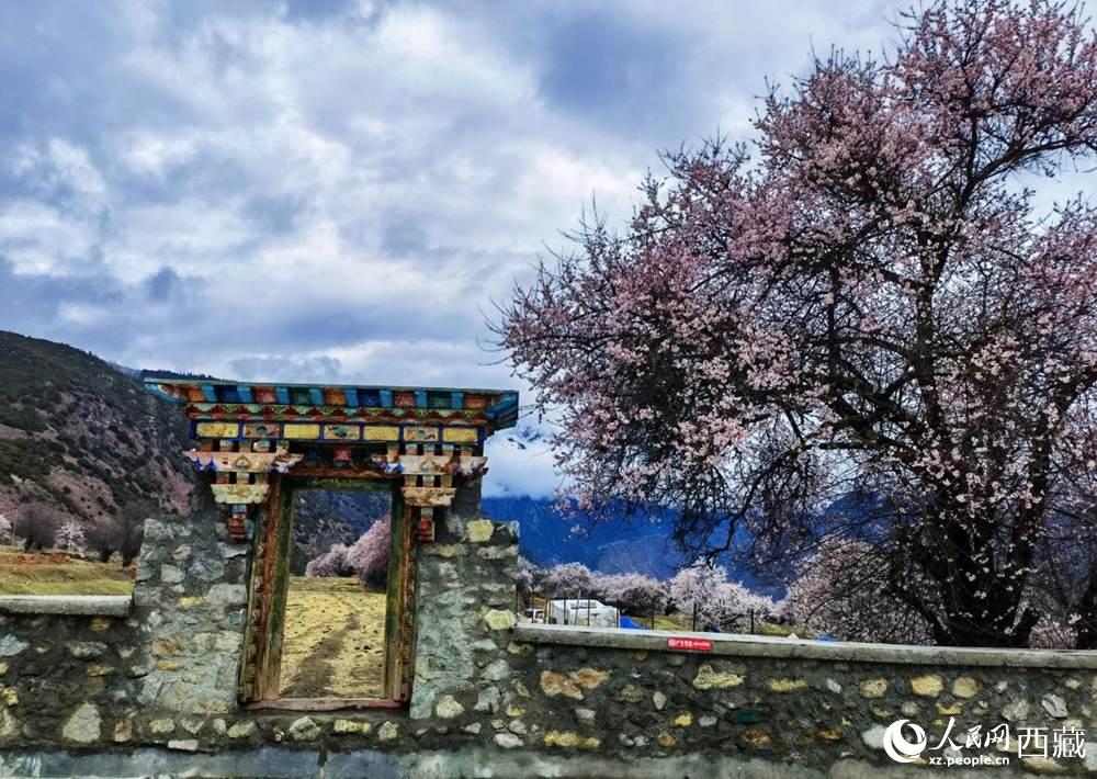桃花下的藏式民居。人民網(wǎng) 李海霞攝