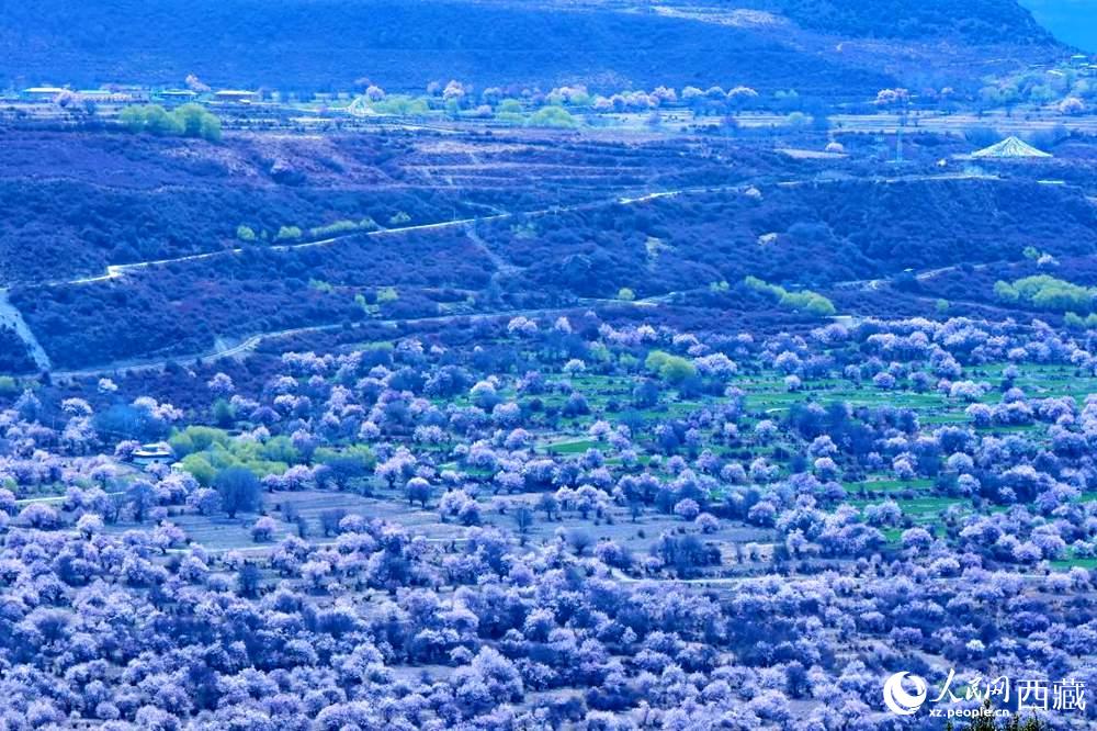 遠(yuǎn)眺“桃花村”。人民網(wǎng) 李海霞攝