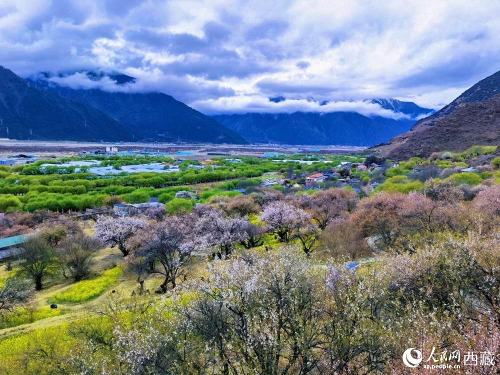 桃花從中的“童話小鎮(zhèn)”。人民網(wǎng) 李海霞攝