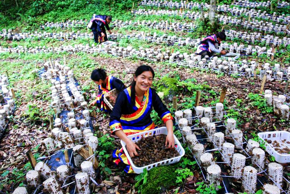 喜獲豐收展笑顏。次仁央宗攝