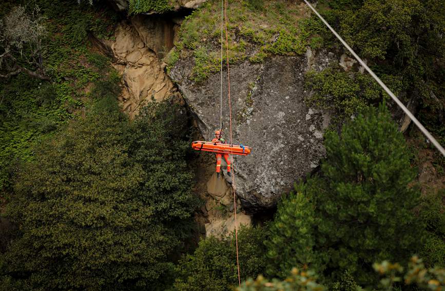 叢林中的橙色身影。西繞拉翁攝