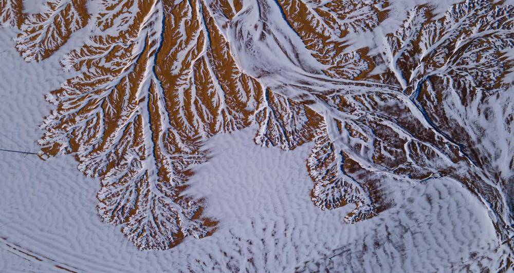 栩栩如生的枝干。邊巴多吉攝