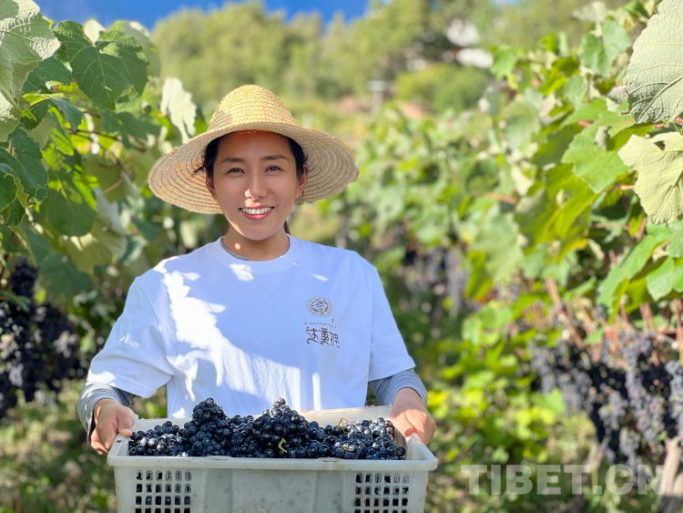 微信圖片_20230812194258.jpg 微信圖片_20230812194258.jpg