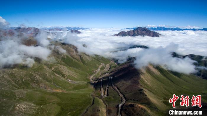 祁連山國(guó)家公園(青海片區(qū)):保護(hù)管理體系初步建立