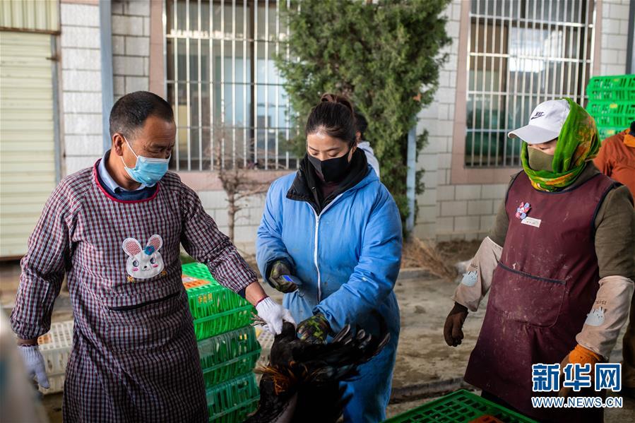 （脫貧攻堅(jiān)）（6）云南迪慶藏區(qū)：打好防疫脫貧兩場(chǎng)戰(zhàn)役