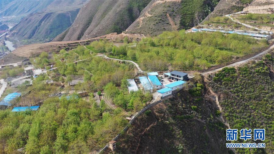 (脫貧攻堅·圖片故事)(2)“90后新農(nóng)人”的返鄉(xiāng)致富路