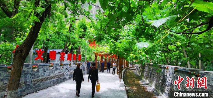 甘肅“藏鄉(xiāng)江南第一村”:葡萄村落打造“醉”美農(nóng)家