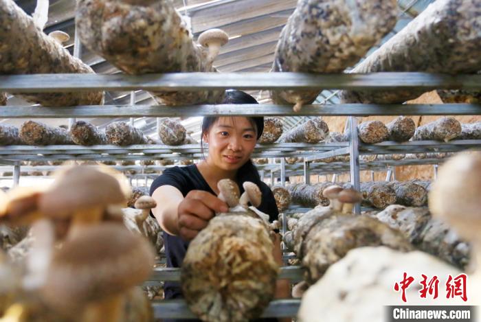 甘肅天?！跋愎椒蚱蕖毕律饺氪ǎ捍笈锢镉板X景”