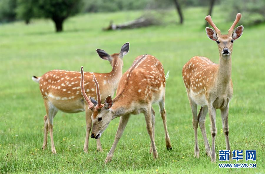 （圖文互動）（3）中國西北角：有個(gè)村子叫神座